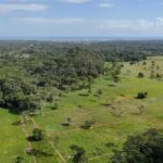 listing image thumbnail with ID 28615