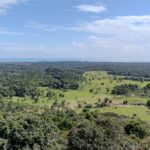 listing image thumbnail with ID 28613