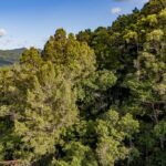 listing image thumbnail with ID 29400