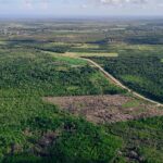 listing image thumbnail with ID 28840