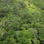 listing image thumbnail with ID 28760