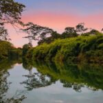 listing image thumbnail with ID 28768