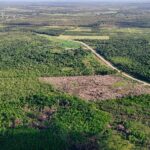 listing image thumbnail with ID 28839