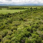 listing image thumbnail with ID 28978