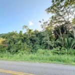 listing image thumbnail with ID 29409