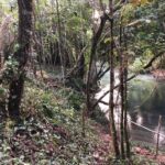 listing image thumbnail with ID 28877