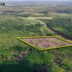 listing image thumbnail with ID 28835