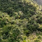 listing image thumbnail with ID 29405