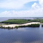 listing image thumbnail with ID 29381