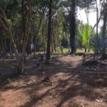 listing image thumbnail with ID 28767