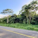 listing image thumbnail with ID 29408