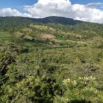 listing image thumbnail with ID 29403