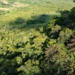 listing image thumbnail with ID 29399