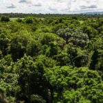 listing image thumbnail with ID 28755