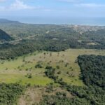 listing image thumbnail with ID 28611