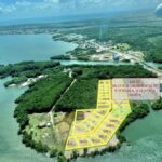 listing image thumbnail with ID 29299