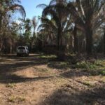 listing image thumbnail with ID 28766