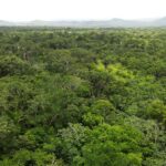 listing image thumbnail with ID 28976