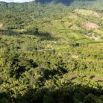 listing image thumbnail with ID 29398