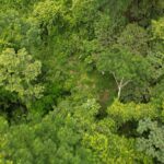 listing image thumbnail with ID 28761