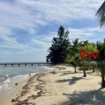 listing image thumbnail with ID 29850