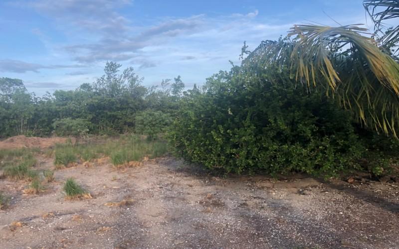 listing image with ID 30685