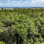 listing image thumbnail with ID 30291