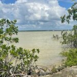 listing image thumbnail with ID 29659