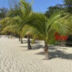 listing image thumbnail with ID 30699