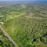 listing image thumbnail with ID 30864