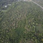 listing image thumbnail with ID 30143