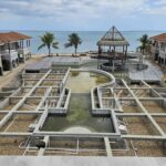 listing image thumbnail with ID 29995