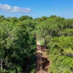 listing image thumbnail with ID 30294