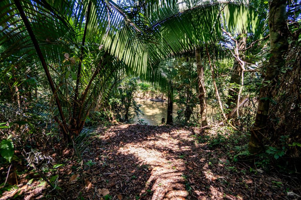 listing image with ID 30334