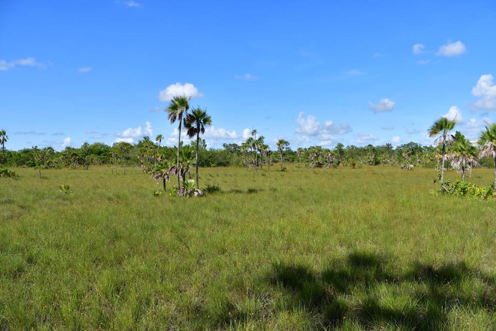 listing image with ID 31326