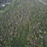 listing image thumbnail with ID 30146