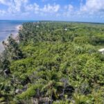 listing image thumbnail with ID 30753