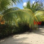 listing image thumbnail with ID 30745