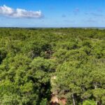 listing image thumbnail with ID 30295