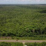 listing image thumbnail with ID 30861