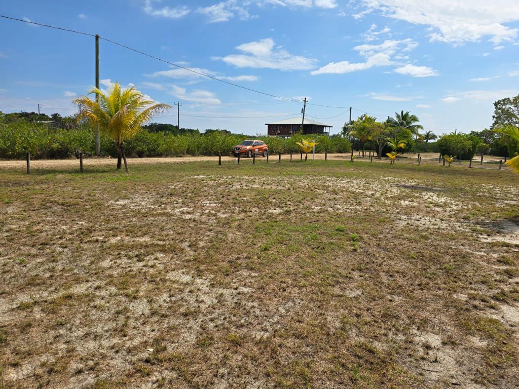 listing image with ID 31481