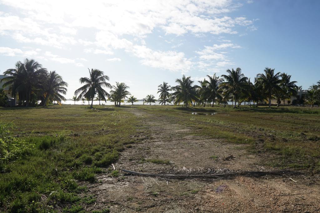 listing image with ID 32991
