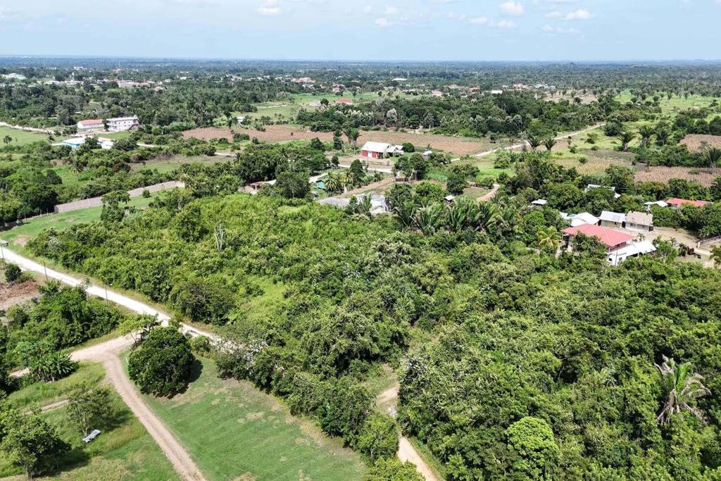 listing image with ID 31955