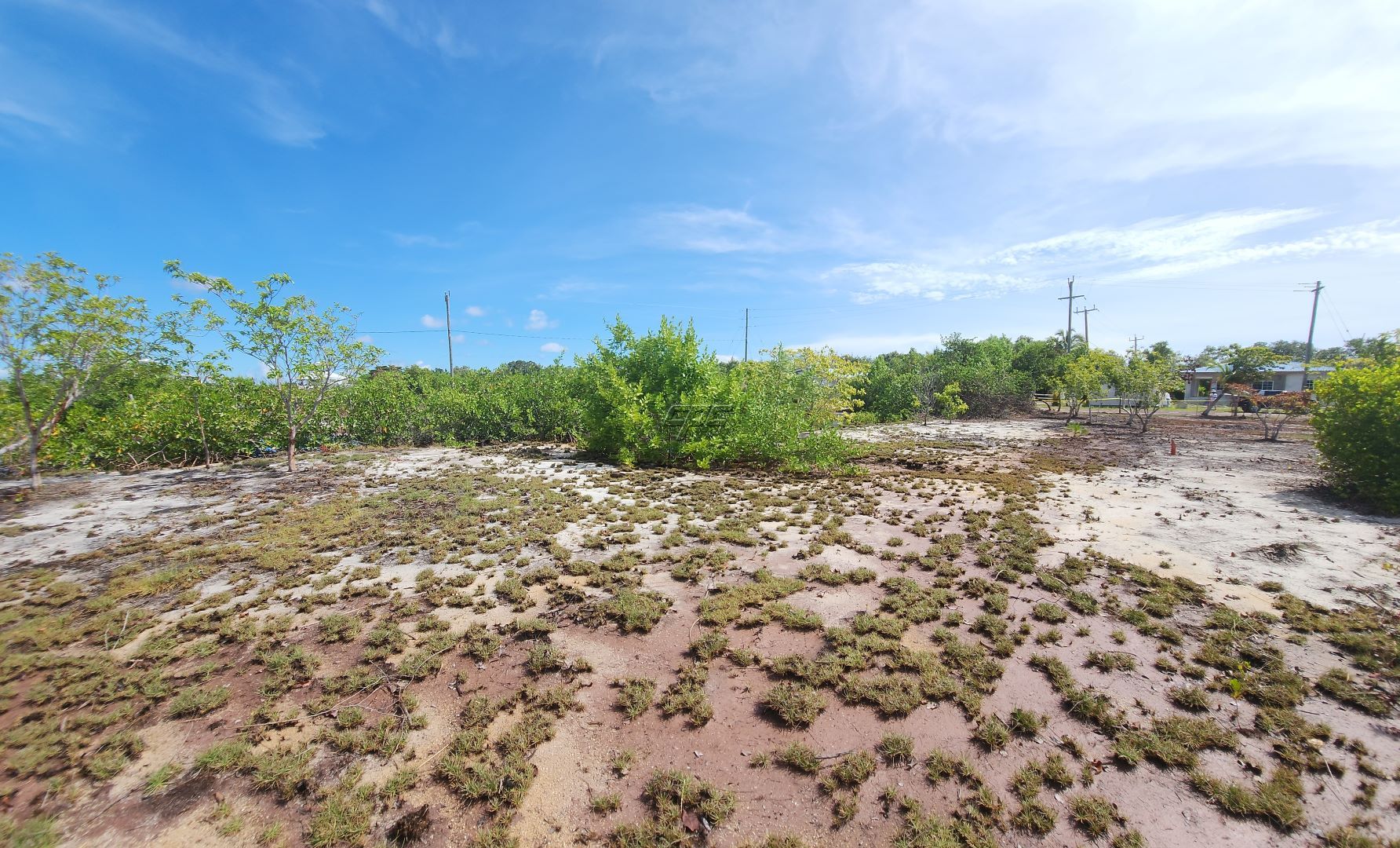 listing image with ID 33572