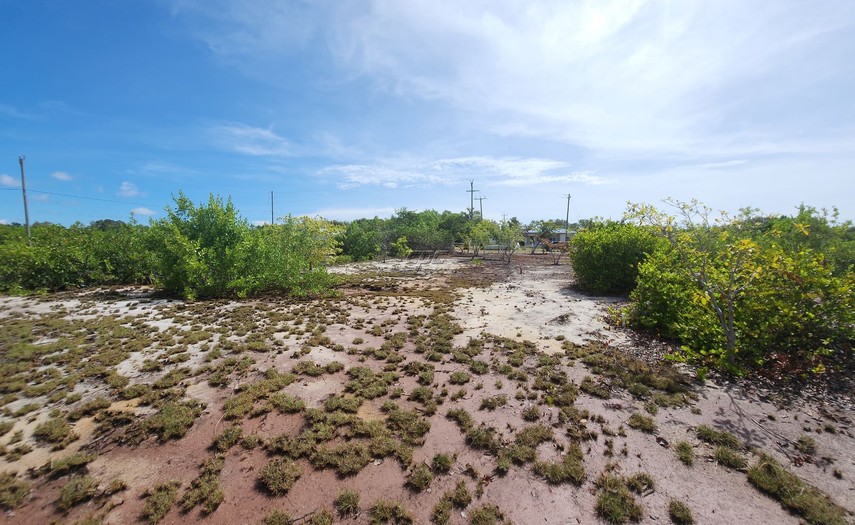 listing image with ID 33571