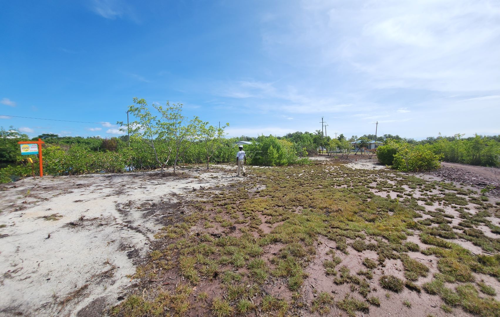 listing image with ID 33568