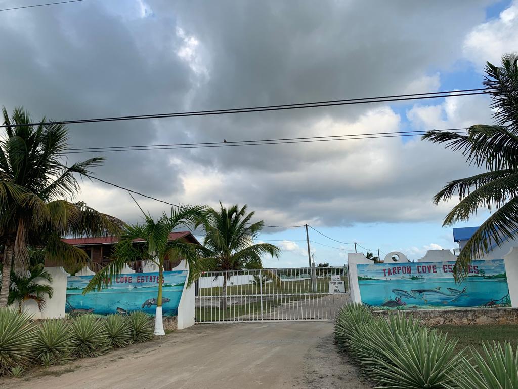 listing image with ID 34823