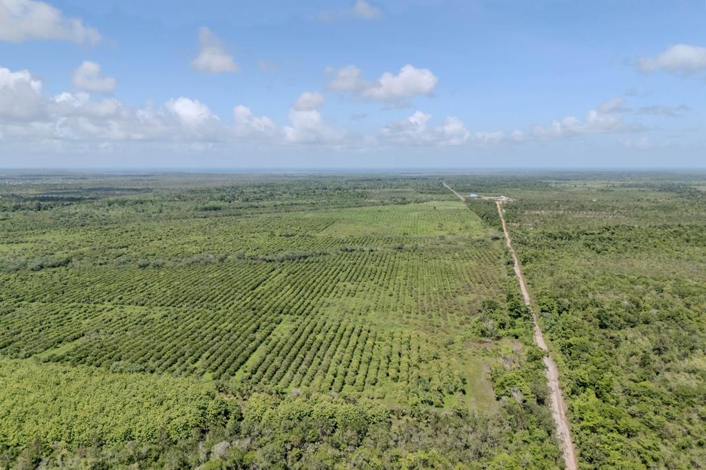 listing image with ID 33597