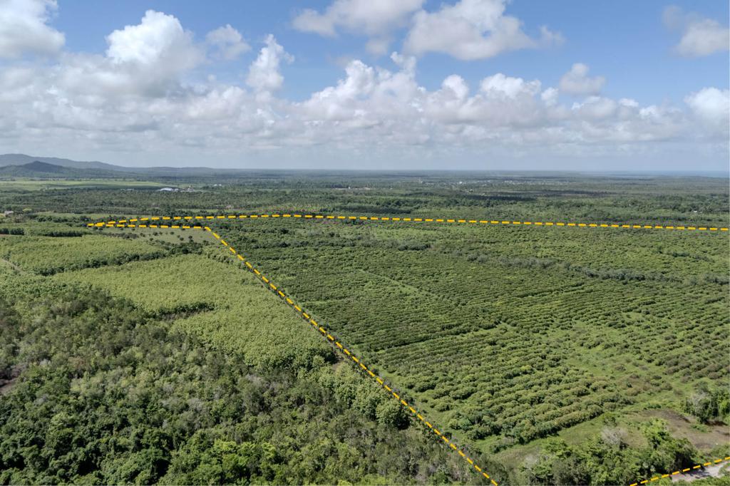 listing image with ID 33598