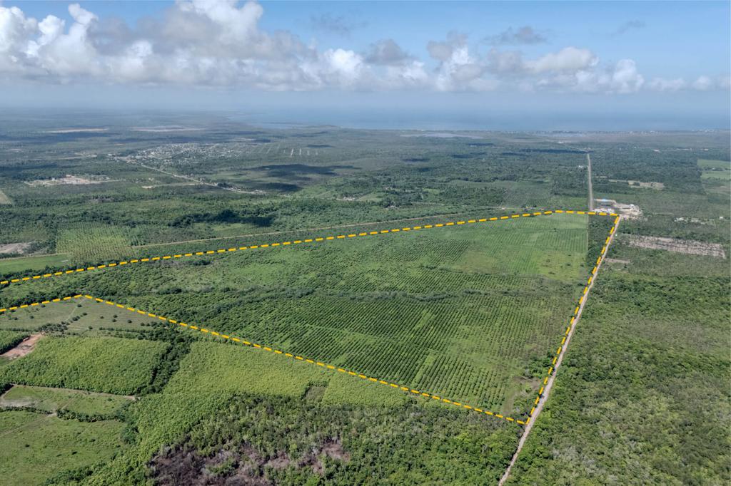 listing image with ID 33596